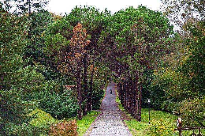 Atatürk Arboretumu 08