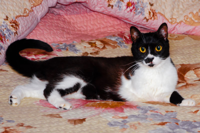 Karam'ın Hikayesi: Lütfen Aracınızı Çalıştırmadan Önce Bunlara Dikkat Edin