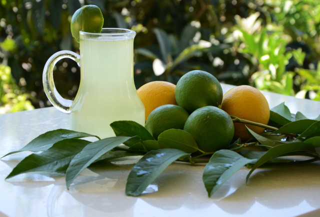 Ev Yapımı Limonata ve Dalında Taze Limonlar