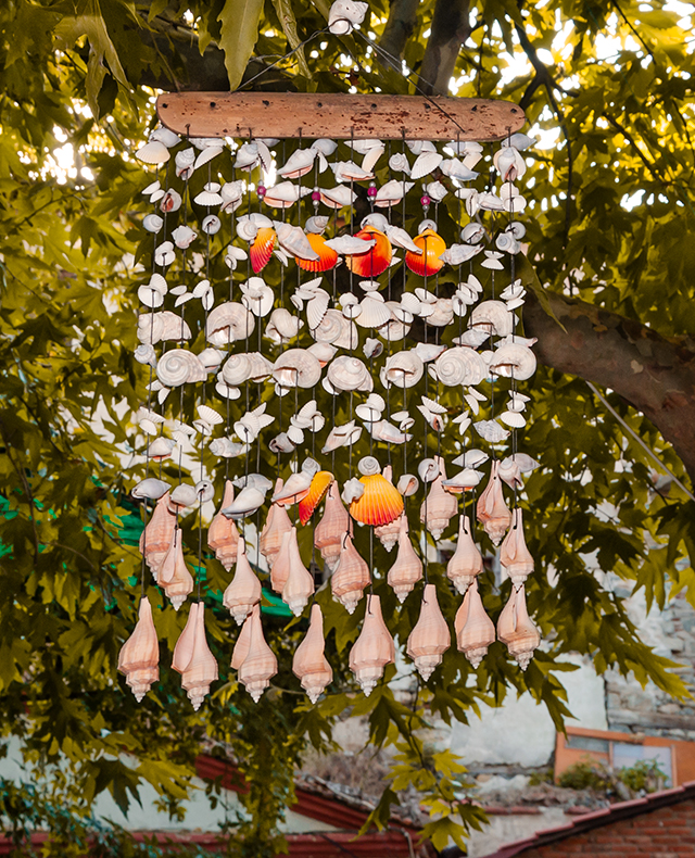 Deniz Kabuklarından El Sanatları