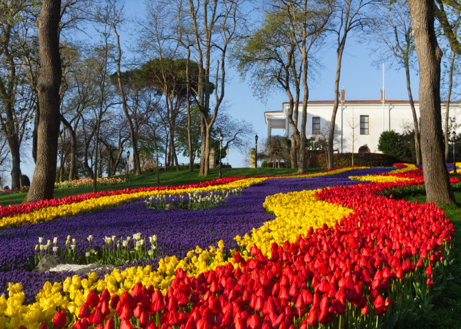Emirgan Korusunda Laleler ve Beyaz köşk